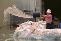 Holding back Mississippi River Flood Waters in 1994. 