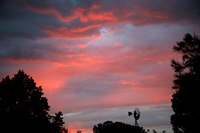 All Images Copyright Eric Draper; Associated Press; The White House