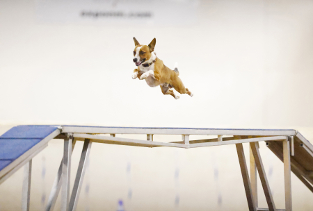 Albuquerque, New Mexico